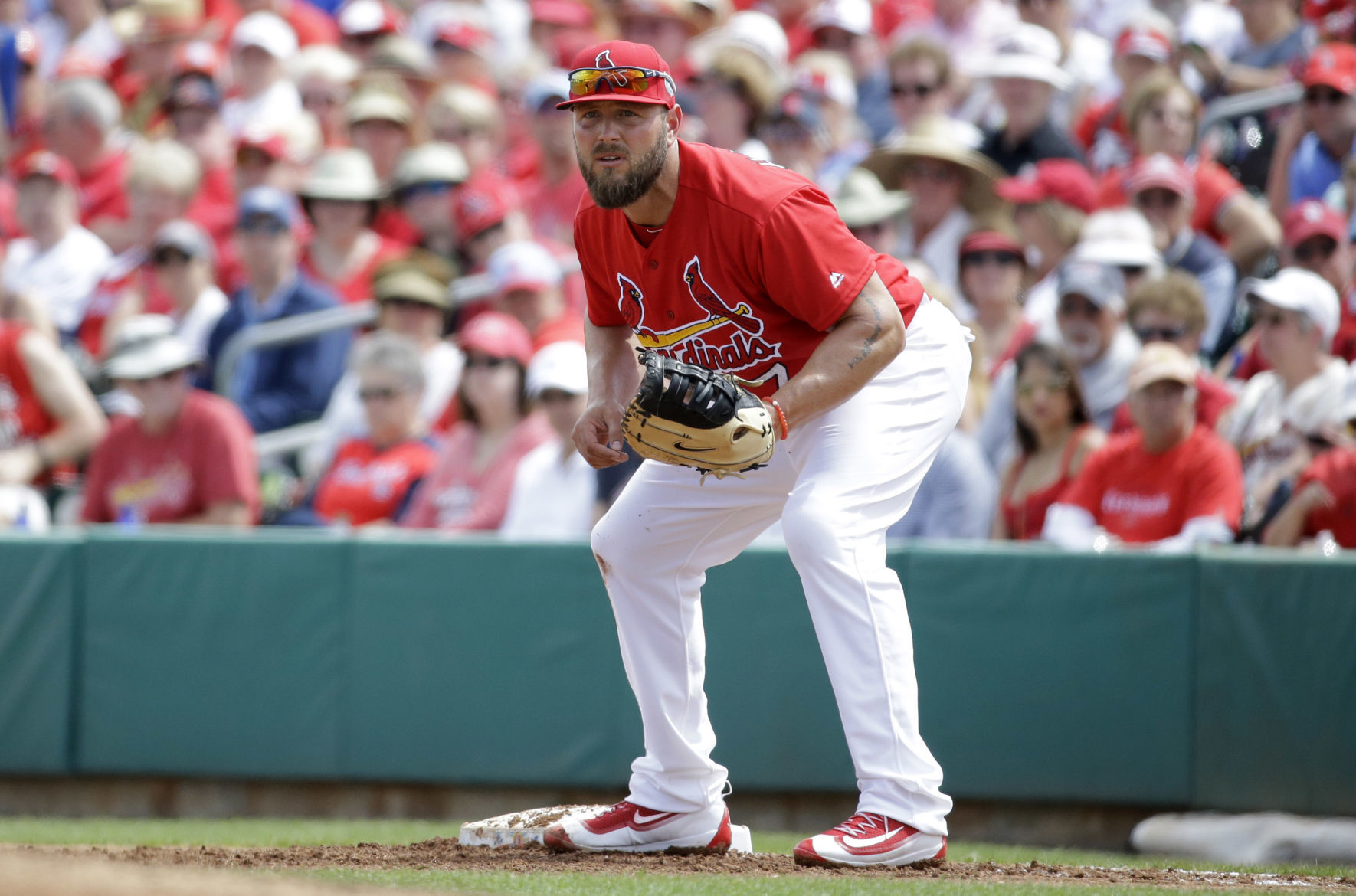 Matt Holliday: 2016